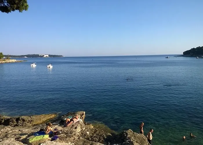 Sea Dreams